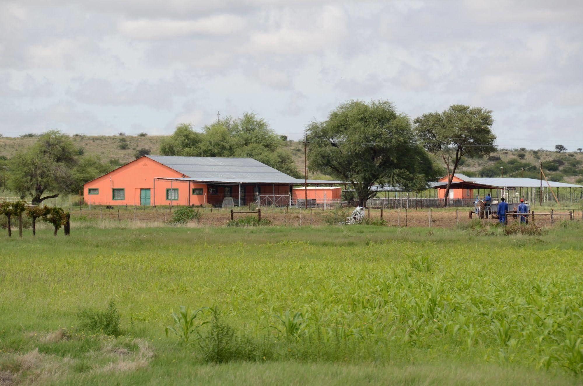 Kalahari Farmhouse, Namibia Mariental Ngoại thất bức ảnh